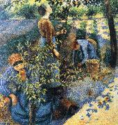 Camille Pissarro Apple picking France oil painting artist